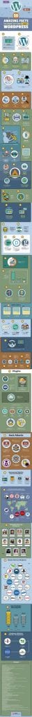 WordPress Infographic