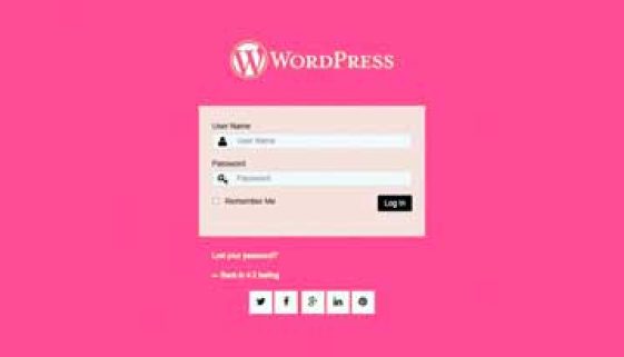 WordPress Custom Login Plugins