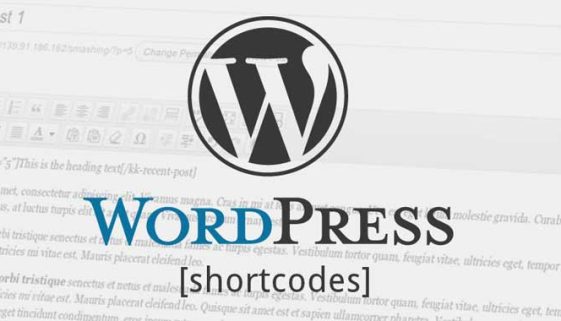 Best Instagram Plugins For WordPress