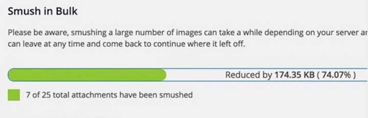 WP Smush Pro