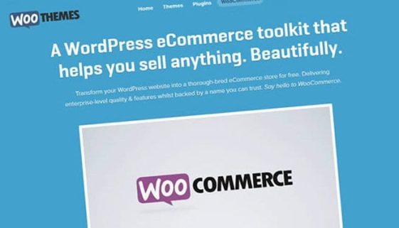 How to Setup a WordPress eCommerce Website Using WooCommerce Plugin?