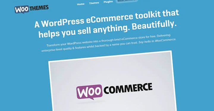 How to Setup a WordPress eCommerce Website Using WooCommerce Plugin?