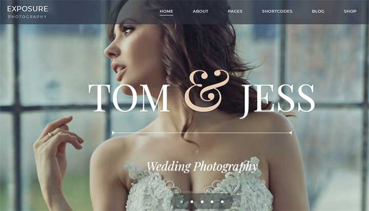Exposure Model WP Theme