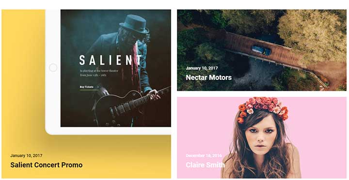 Salient Model Agency WordPress Theme
