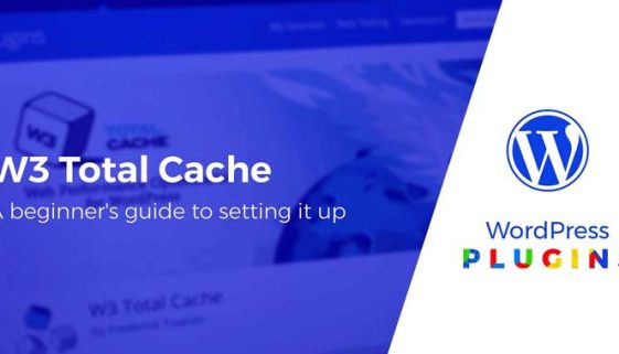 W3 Total Cache Settings