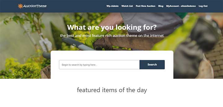 Responsive WordPress Auction Theme