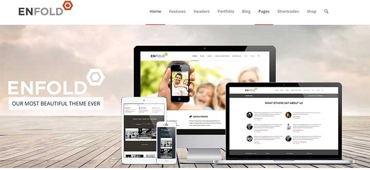 Enfold WordPress insurance theme