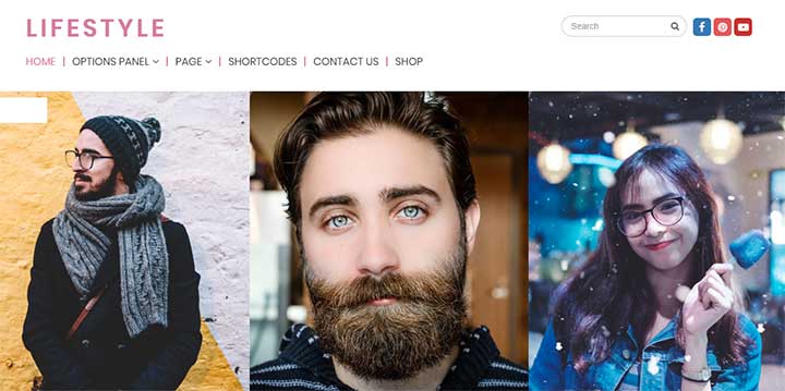 Lifestyle Elegant WordPress RTL Theme