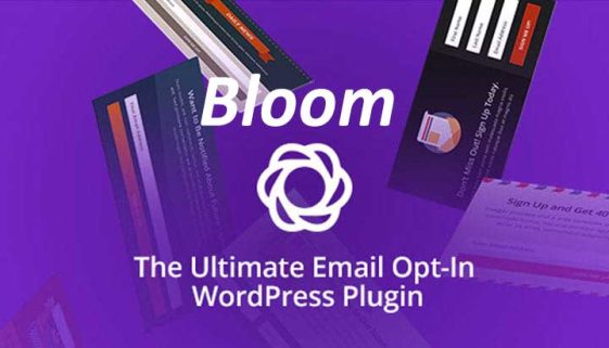 Bloom WordPress Plugin Review
