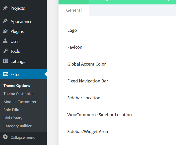 Extra Theme Options