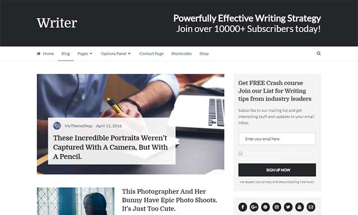 Writer WordPress Theme