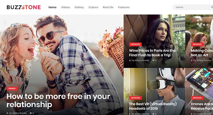 Buzz Stone Magazine & Viral Blog WordPress Theme