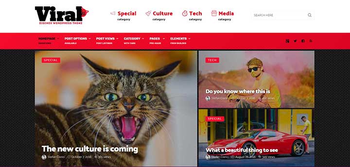 Diginex Viral WordPress Theme