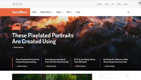 SocialNow-MyThemeShop