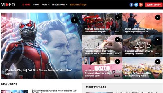 WordPress Video Themes