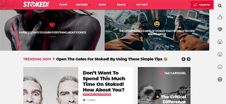 Stoked Irreverent Viral Magazine
