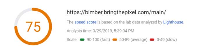 Bimber Speed Check
