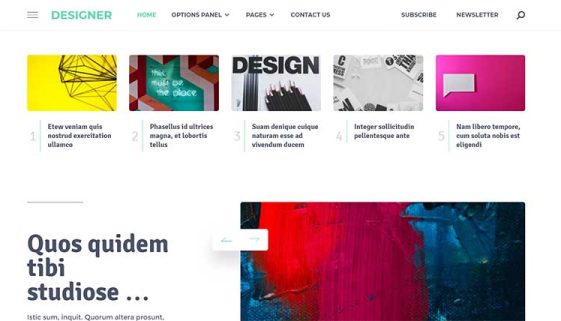 Google AdSense Ready WordPress Themes