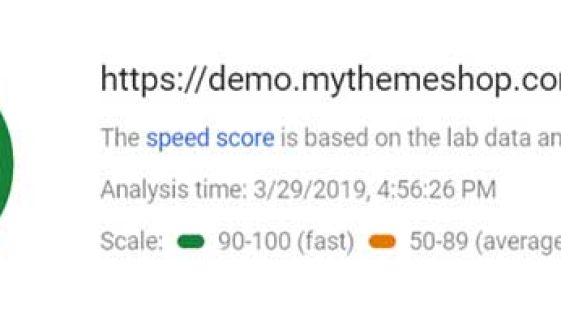 SociallyViral-SpeedTest