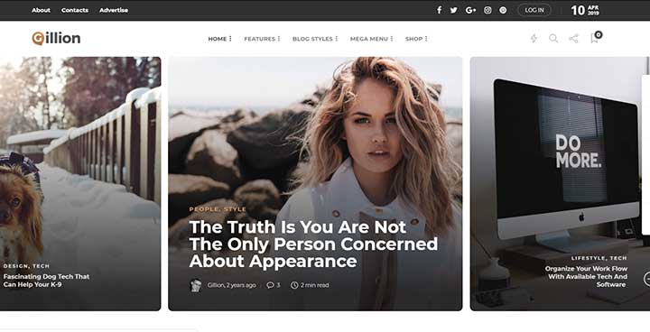 WordPress Feminine Themes