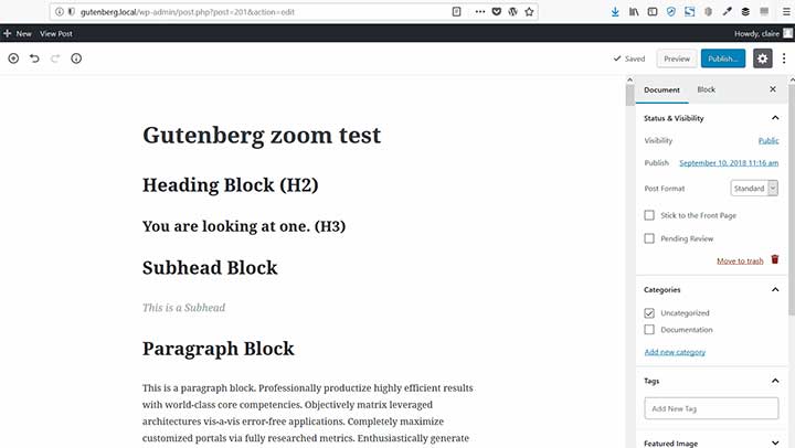 Gutenberg WordPress Editor
