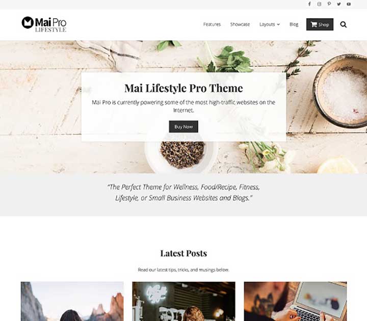 WordPress Feminine Themes