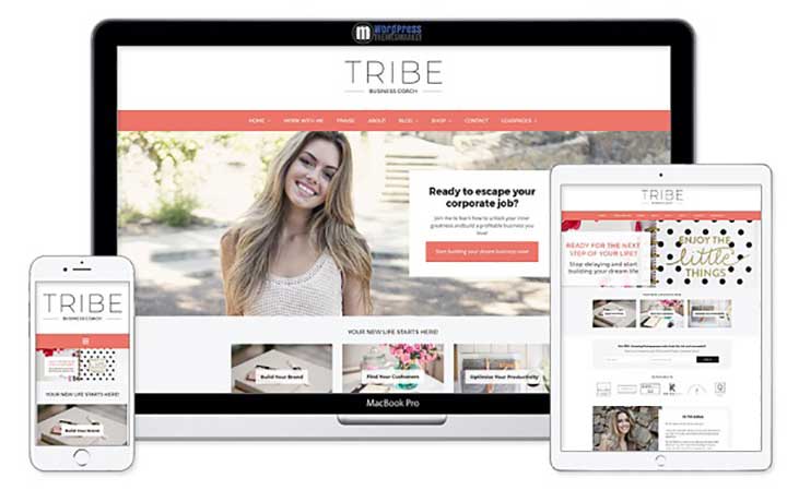 WordPress Feminine Themes