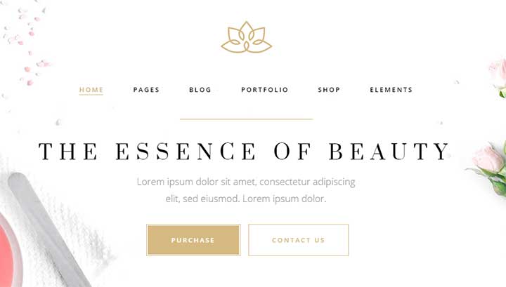 Aviana Theme for Hair Salons
