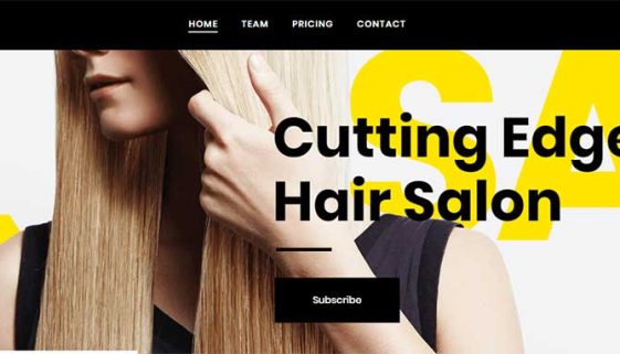Hair Salon WordPress Themes