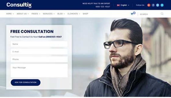 WordPress Accounting Themes