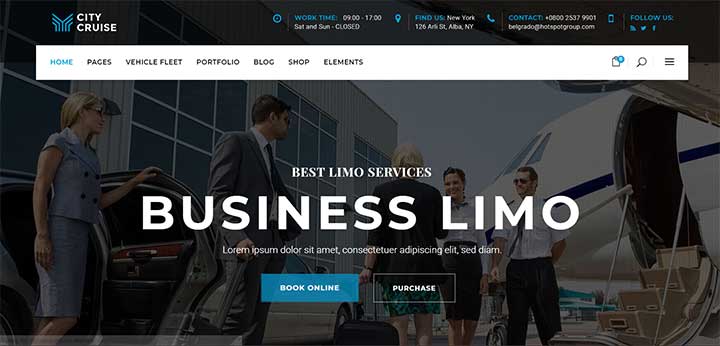 Limousine and Car Rental Theme