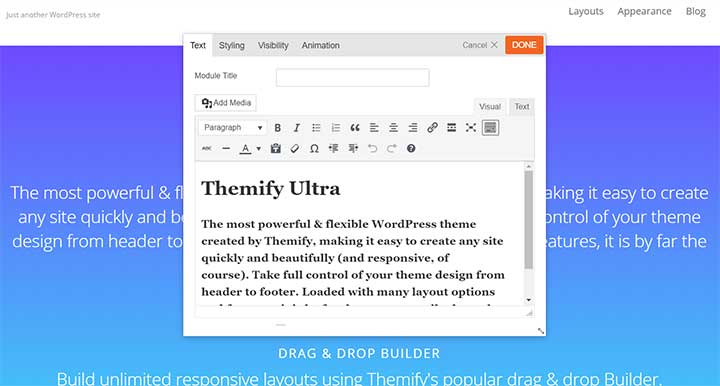 Ultra Theme Review