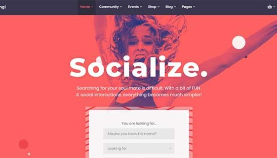 WordPress Membership Themes