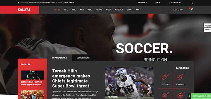 Kallyas WordPress Soccer Themes