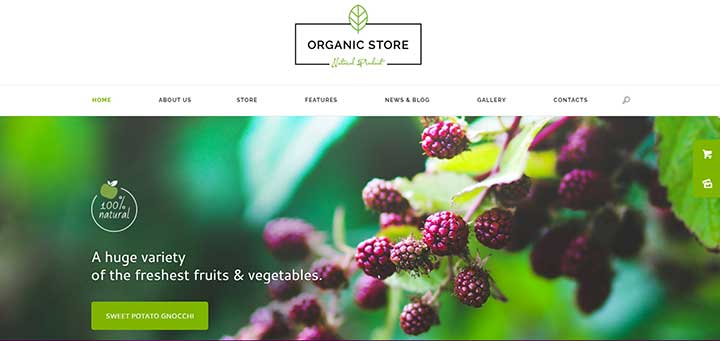 Organic Store Eco Products Shop WordPress Theme
