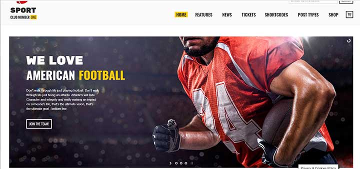 WordPress football themes