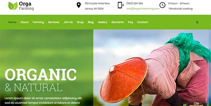 Orga Organic Farm WordPress