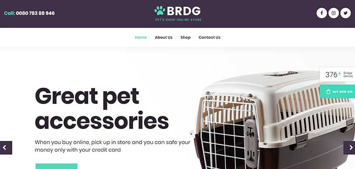 Bridge Creative Multipurpose WordPress Theme