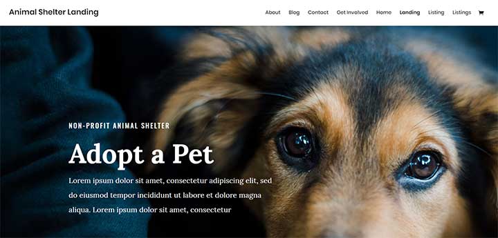Divi-Pet-Layout