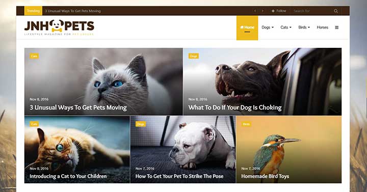 Jannah WordPress Veterinary Theme