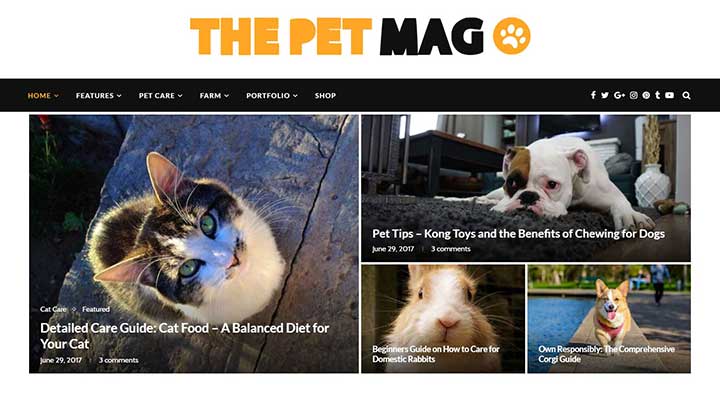 Soledad WordPress Pet theme