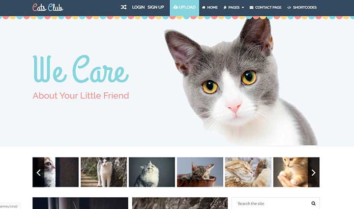Viral WordPress Theme For Social Media Marketers