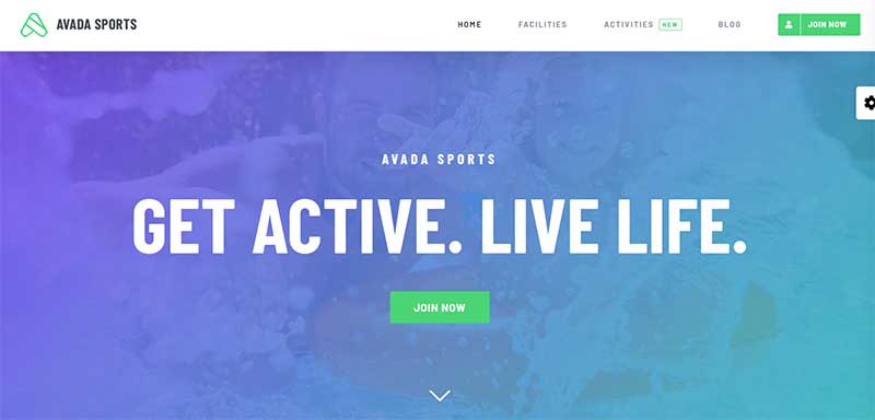 Avada WordPress Golf Templates