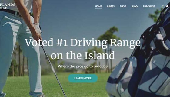 WordPress golf themes