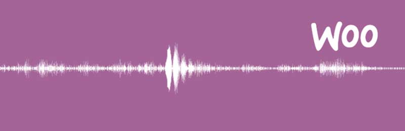 Music Player for WooCommerce