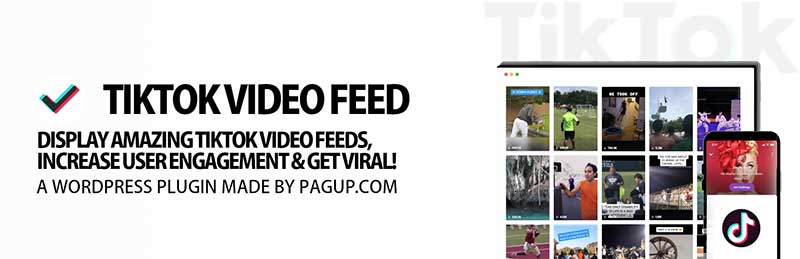 Embed Tik Tok Video Feed