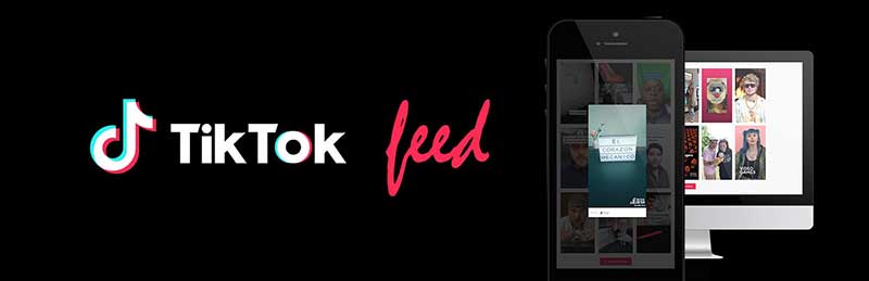 WP TikTok Feed By QuadLayers