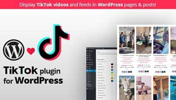 WordPress-tiktok-plugins