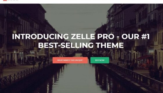 Zerif Pro