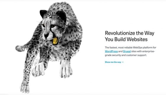Pantheon WordPress Review